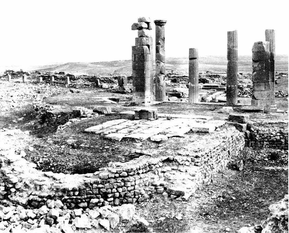 ALGERIE-RUINES ROMAINES DE LAMBESE (56).jpg